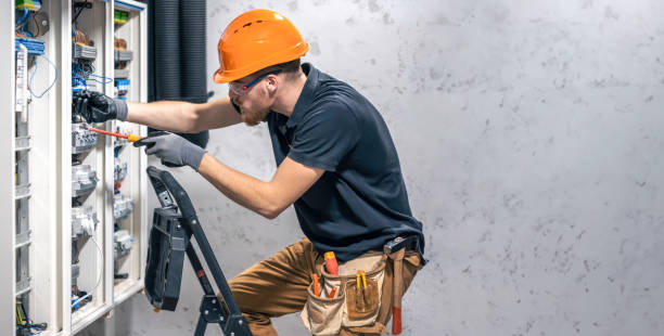 Best Electric Panel Repair  in Springerville, AZ